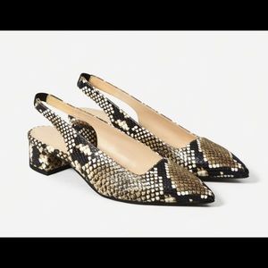 Everlane The Editor Slingback Heel